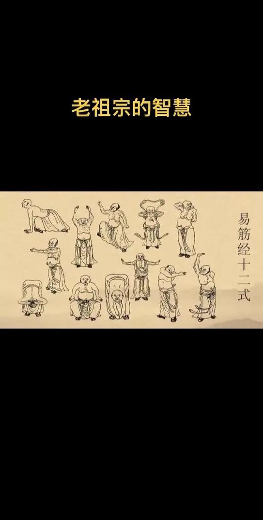 易筋经十二式分解动作正反面