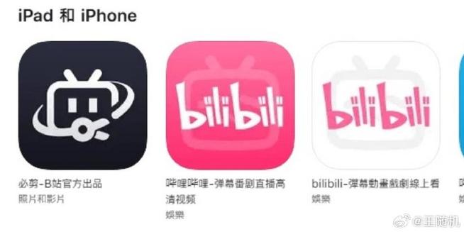 哔哩哔哩视频下载本地图标