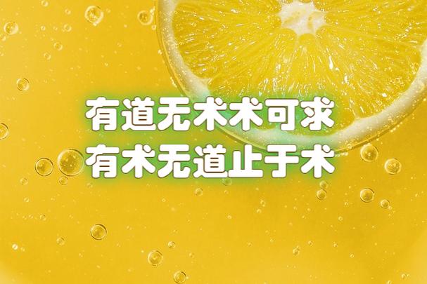 有道是什么意思