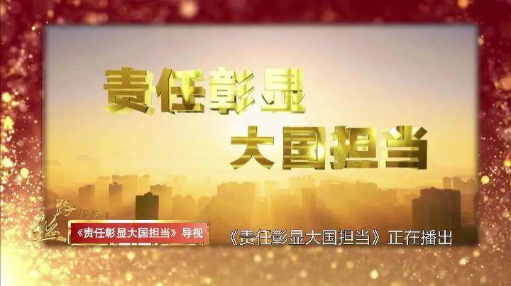 中国承担大国责任的体现