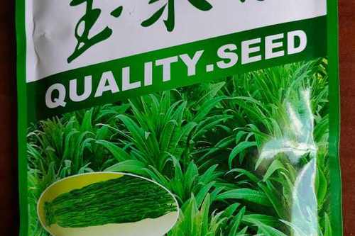 种子公司批发零售种子