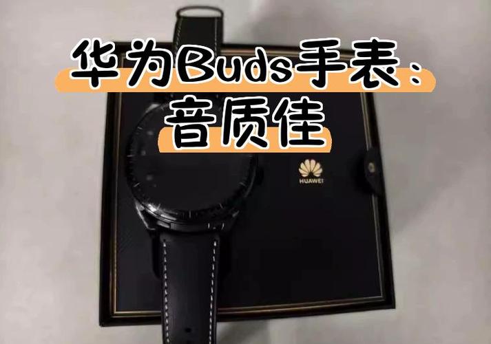 手表扬声器有杂音滋滋