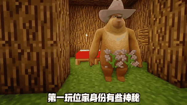 我真的是小熊我的世界