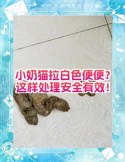 野猫到处拉屎怎么防止