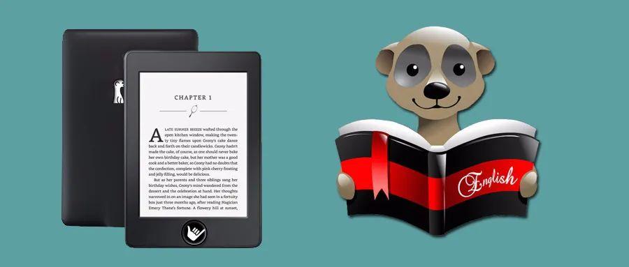 Meerkat Reader