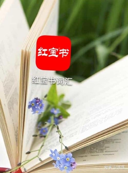求红宝书app免费序列号