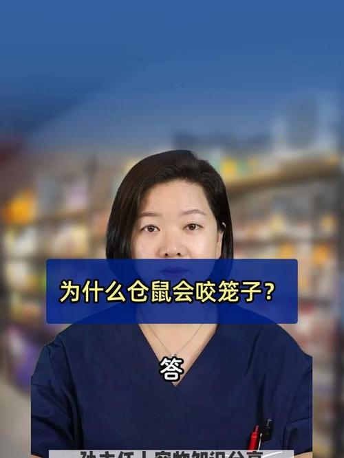 仓鼠一直啃笼子是为什么