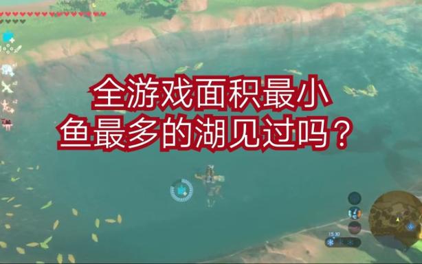 塞尔达哪里鱼多