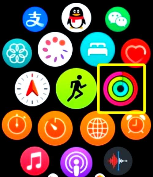 watch在入门指南不动