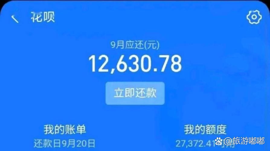 花呗现状