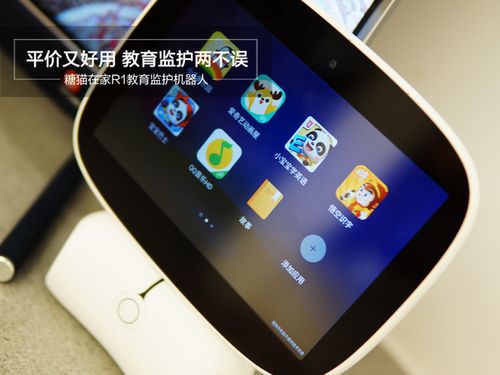 糖猫在家好不好