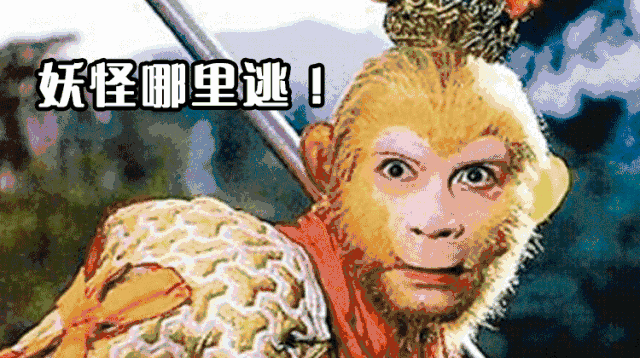 孙悟空呆妖怪哪里跑