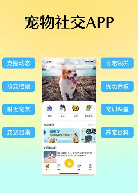 养小宠物的软件