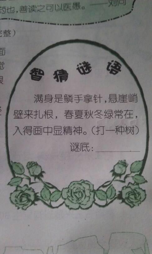 短命打一准确生肖