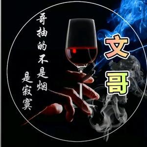 网红文哥