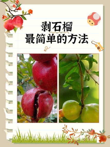 石榴怎样剥最好最快