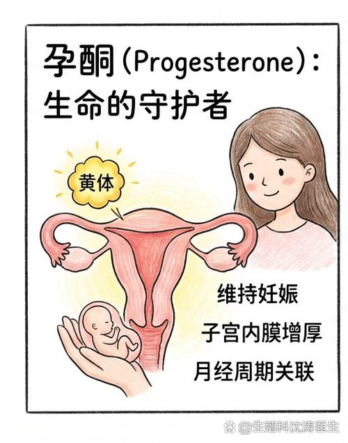 月经经期计算器图标