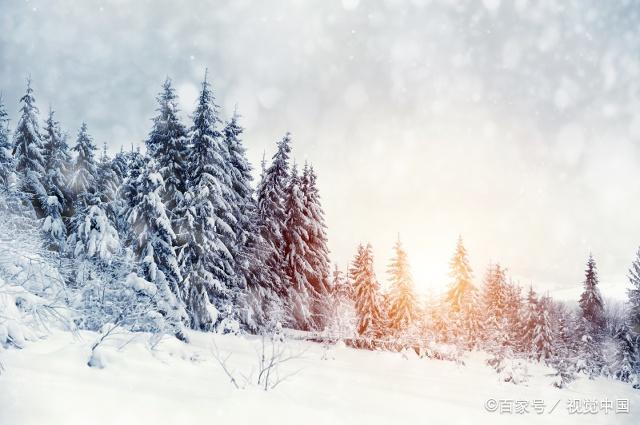 形容瑞雪的优美句子图标