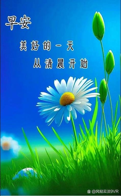 vivo共享位置怎么用缩略图