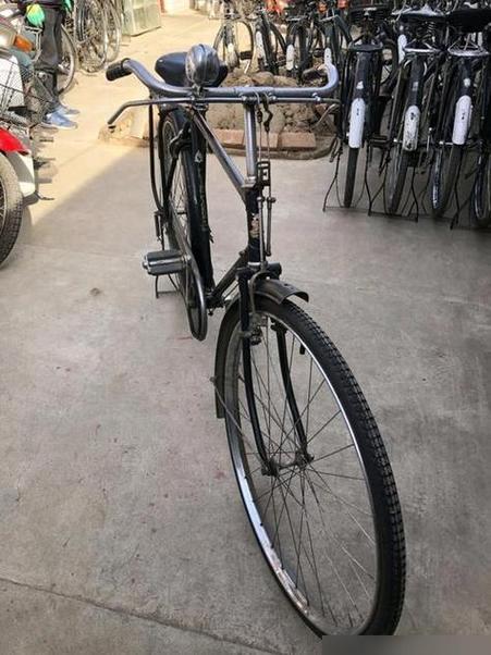 500元买凤凰还是飞鸽截图