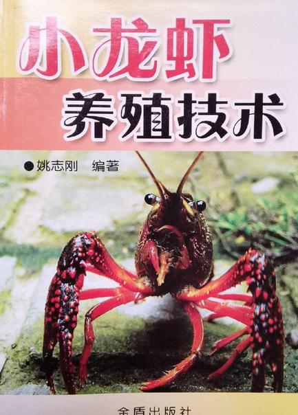 小龙虾养殖技术