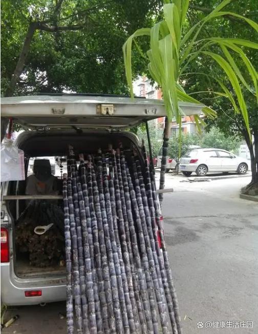 摆摊卖甘蔗赚钱吗