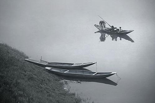 你渡口高清免费观看