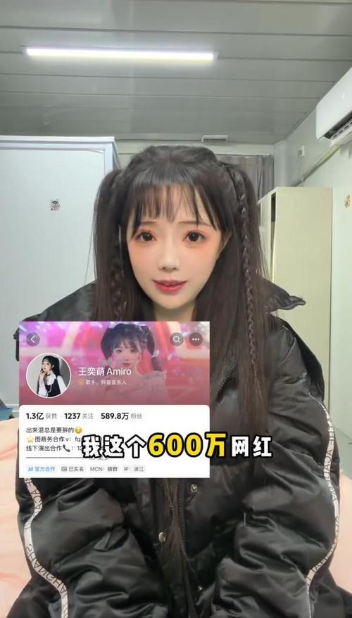 300w粉丝小网红收入