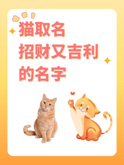 公猫取名招财又吉利的名字