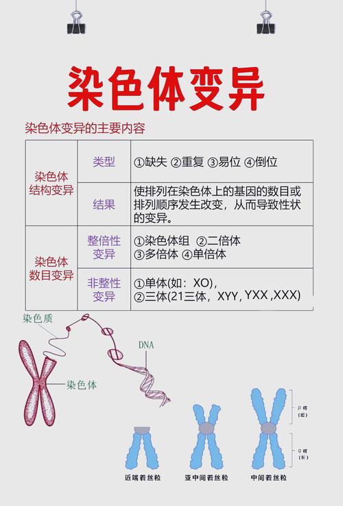 正常相变和非正常相变缩略图