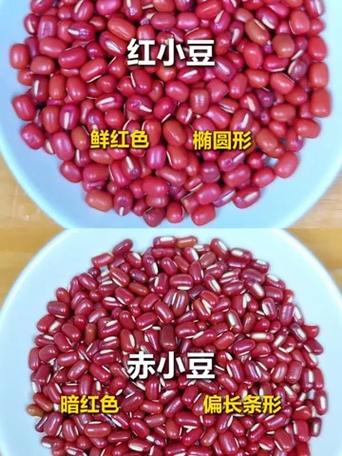 红小豆与赤小豆哪个好