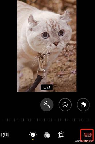 iphone下载并保留原片