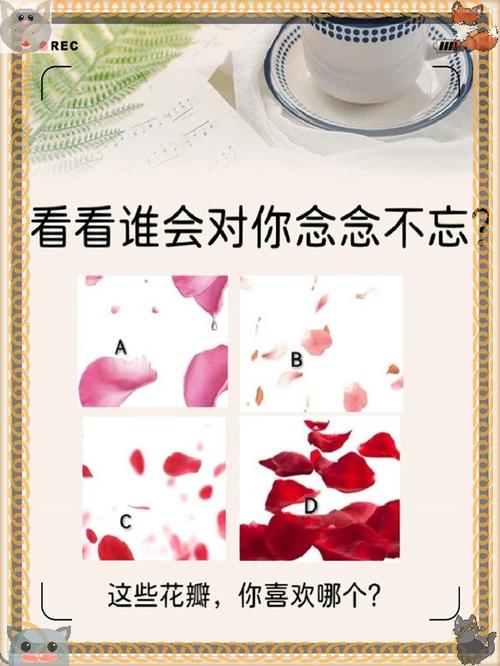 测试谁对你念念不忘