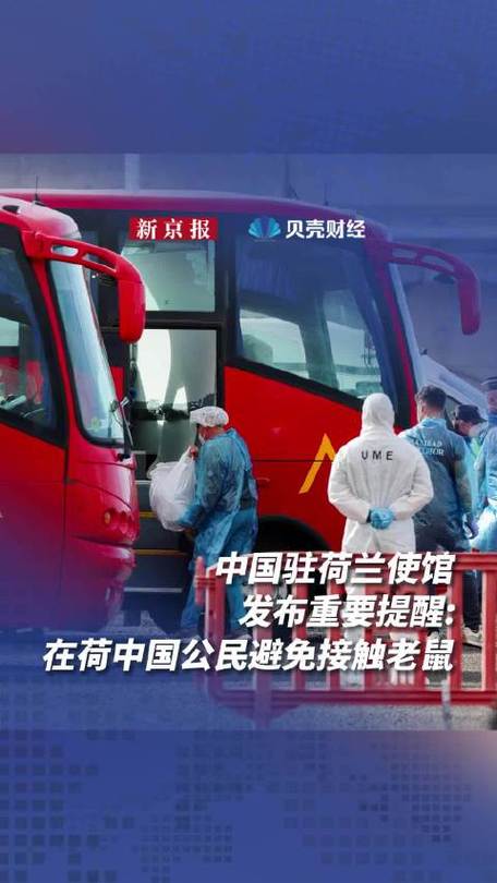 中国驻荷兰使馆发布重要提醒