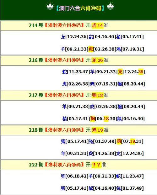 澳门网