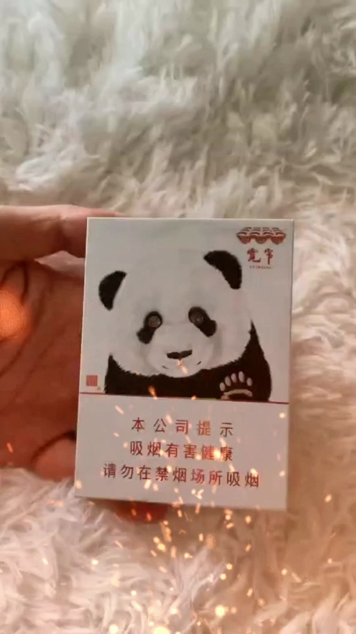 熊猫之恋8000一条图片