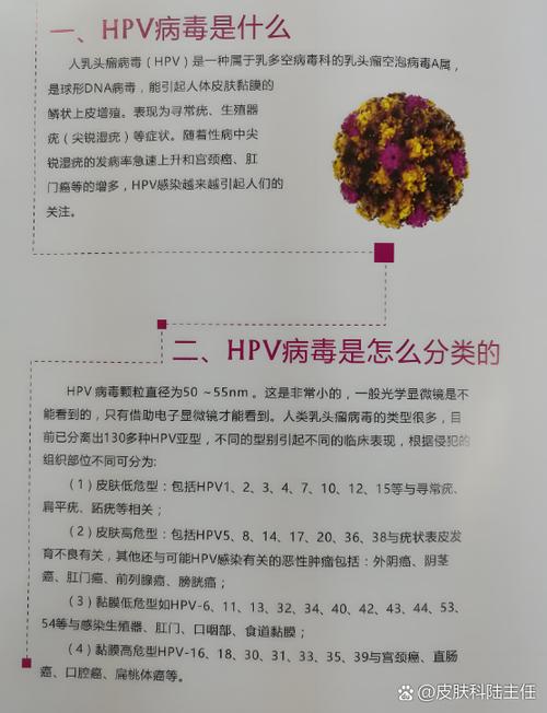 31 33 45 52 58hpv病毒