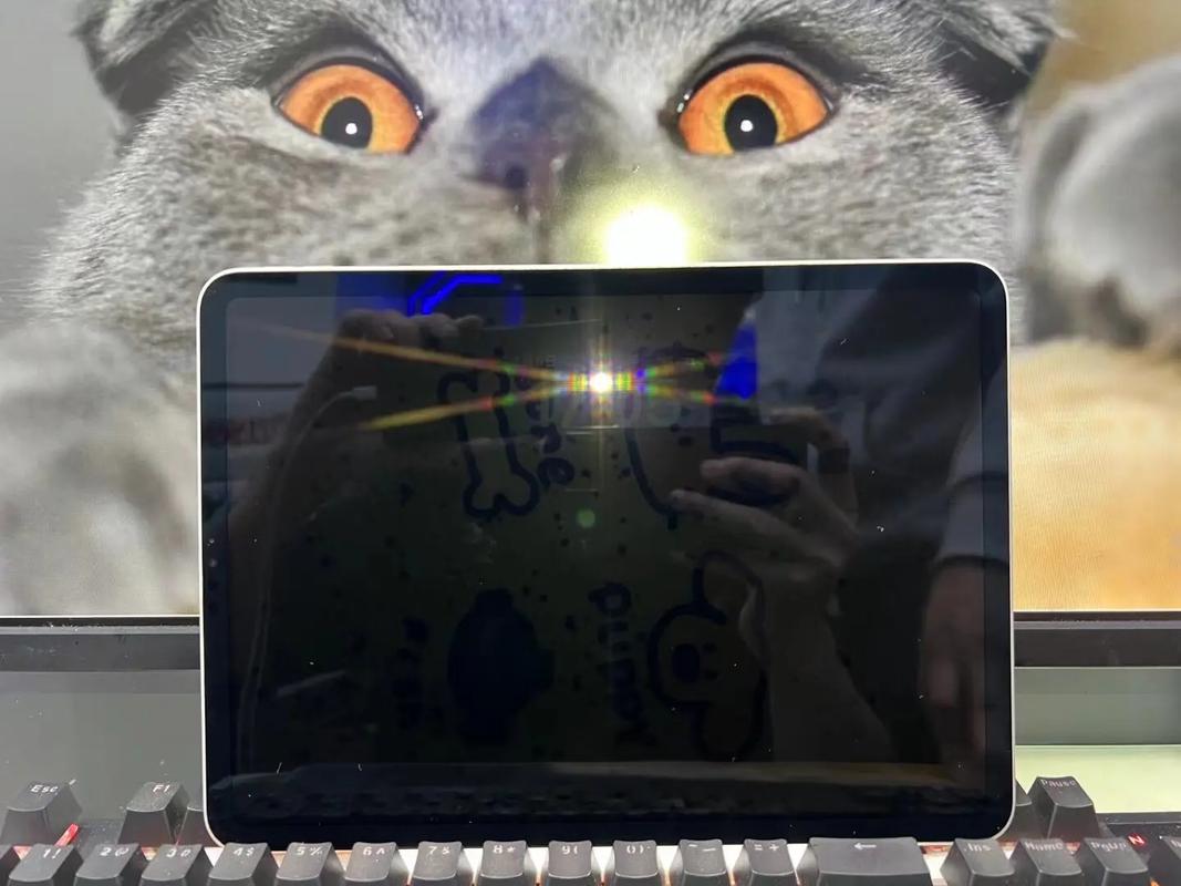 ipad黑色背光下有蓝斑