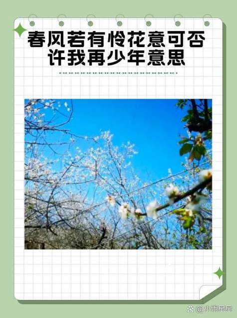 青春年华最佳诗句