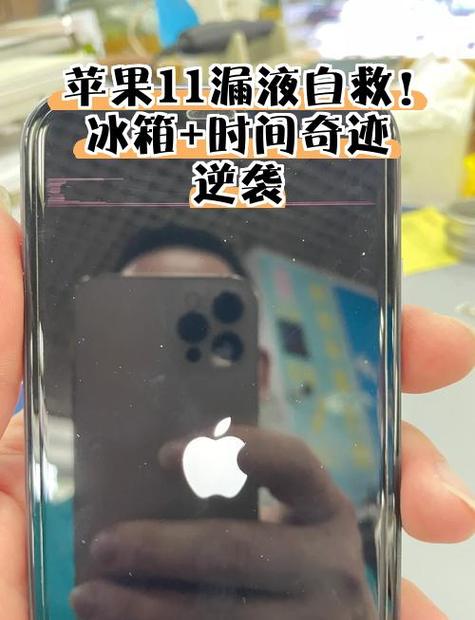 苹果11充不进电自救方法