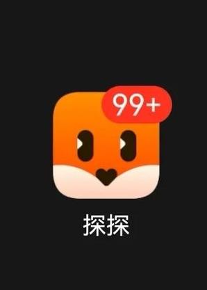 探探官方图标