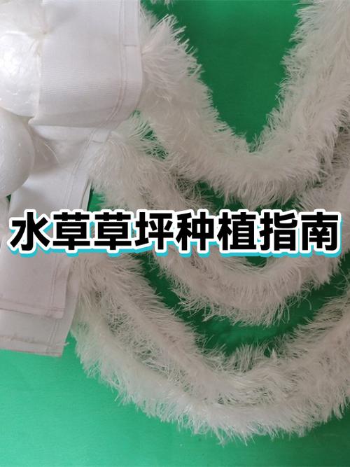 水草泥种水草教程截图