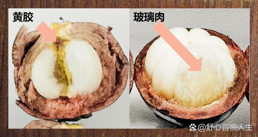 吃完山竹不能吃什么