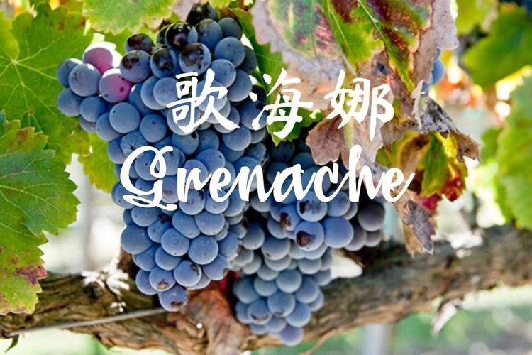 破解网易云音乐图标