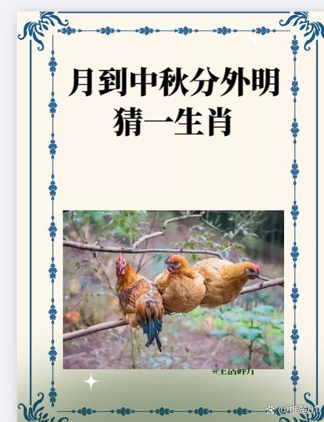 打一生肖数字
