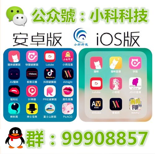 猫咪官方社区app官网破解版