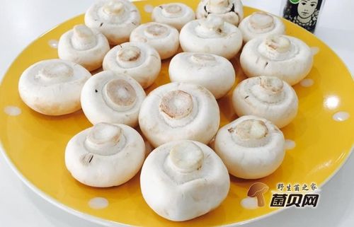 口蘑怎么洗才算干净