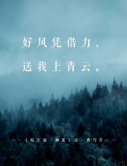 匪我思存 落落的风