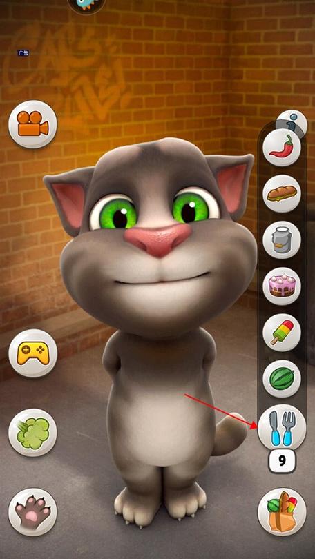 会说话的汤姆猫旧版下载