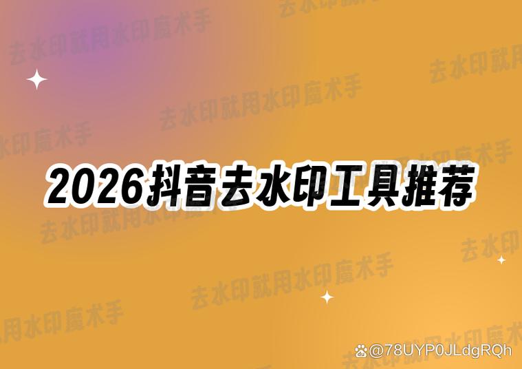 短视频去水印小工具截图